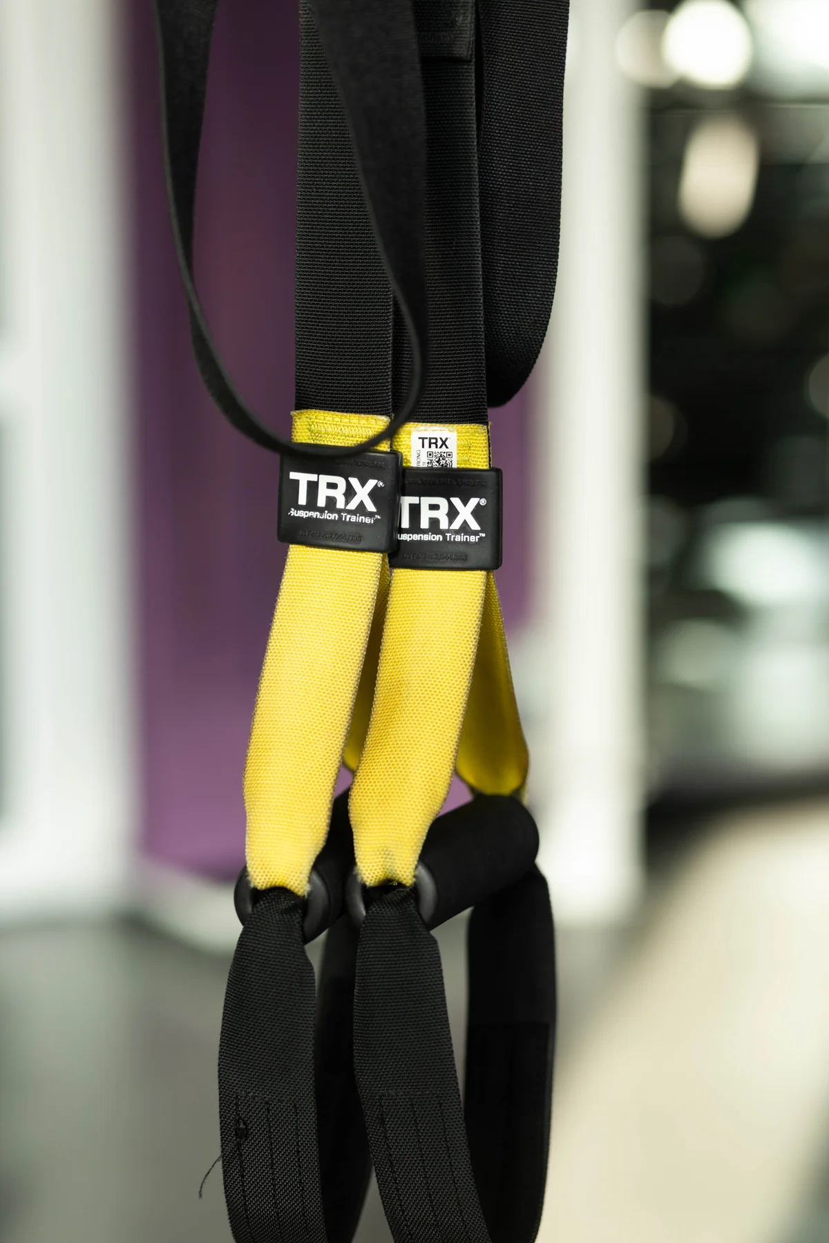 gyms_product-file-1786969582750-124167257.webp